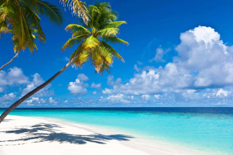 Caribbean Beach Wallpaper
