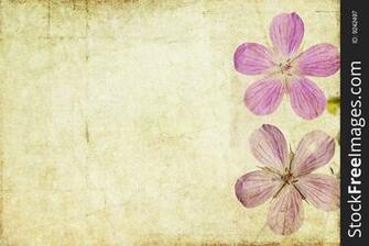 Background Image With Earthy Texture Stock Image Photos