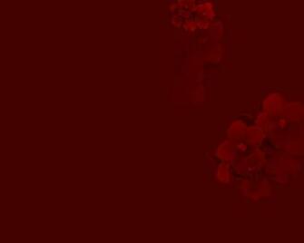Delta Sigma Theta Wallpaper On
