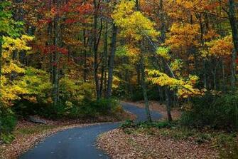 High Resolution Autumn Country Road Desktop Laptop Ed