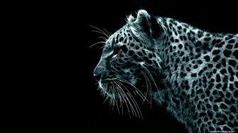 Cool Black Wallpaper Full Screen