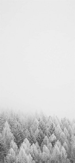 Snow iPhone Wallpaper
