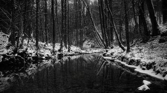 Use Any Of These Black And White Wallpaper That Are Designed To