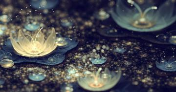 Rain Computer Wallpaper Cool