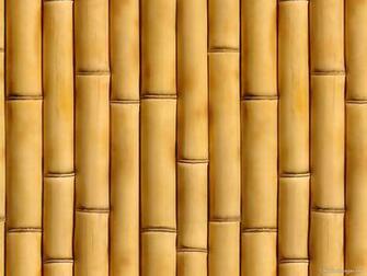 Classic Bamboo Background Wallpaper