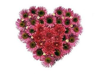 Heart Flower Wallpaper Photos