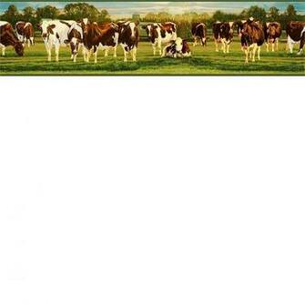 Brown Got Milk Wallpaper Border Rustic Country Primitive