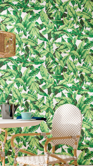 Aesthetic Boho Wallpaper