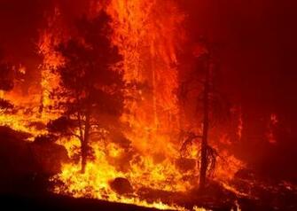 Wildland Fire Quotes