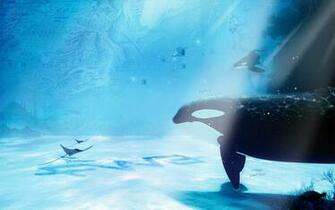 Widescreen Desktop Wallpaper O Ze Art Design