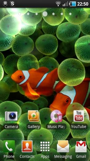 Apple Clownfish Live Wallpaper Android Themes Best Apps