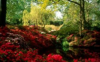Spring Beautiful Park Scenes Wallpaper
