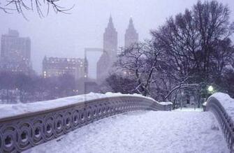 New York City Snow Bridal Shower Themes