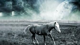 Racing Horse Wallpaper Desktop Background In HD