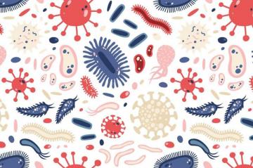 Microbes Set And Seamless In Graphic Design Brochure
