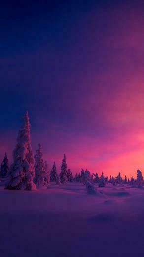 iPhone Wallpaper On Phone In Winter