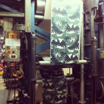 Wallpaper Printing In Loughborough H O U S E F A C