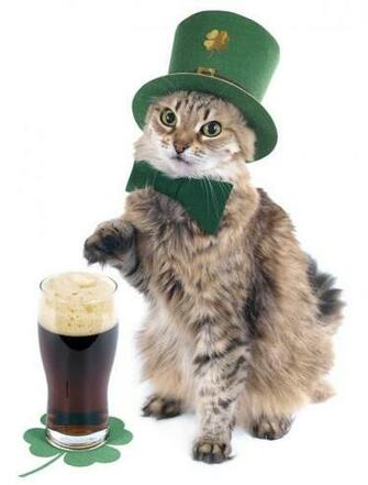 St Patrick S Day Cat Wallpaper On