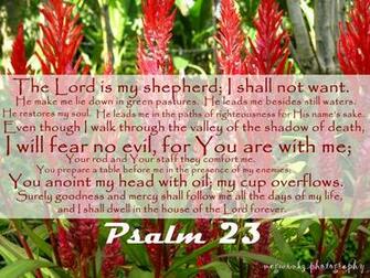 Image Of Psalm Wallpaper Fuckyoubitchbitch X1homevideo