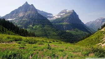 Mountain Pasture Wallpaper
