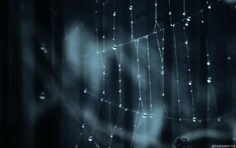 Best Wallpaper Desktop Pictures