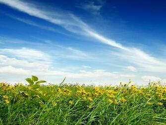 Wallpaper Most Beautiful Natural Desktop