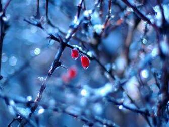 Winter Time Wallpaper Screensavers