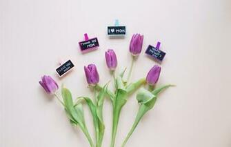 Wallpaper Flowers Spring Bouquet Gift Purple Tulips