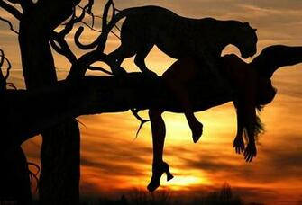 Wallpaper Silhouette Woman Wild Cat Big Tree Sunset Desktop