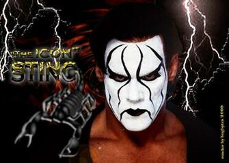 Hbk Sting Dans Le Flou Nfl La Wwe De Rginot42