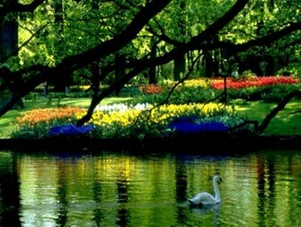 Spring Scenery Of Nature Wallpaper Scenes