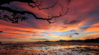 Best Nature HD Wallpaper
