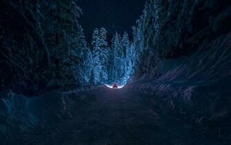 Driving Through The Snowy Forest Wallpaper Designing For Live