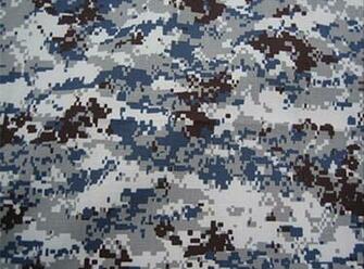 Camouflage More Examples Of