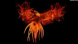 Phoenix Bird Widescreen Wallpaper