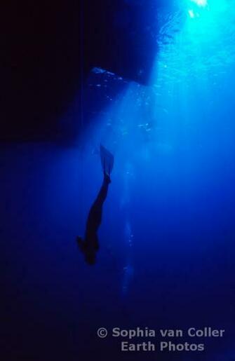 Performance Diving International HD Wallpaper