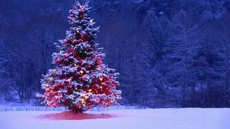 Christmas Tree Desktop Wallpaper Image