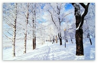 Winter Wonderland HD Desktop Wallpaper High Definition Fullscreen