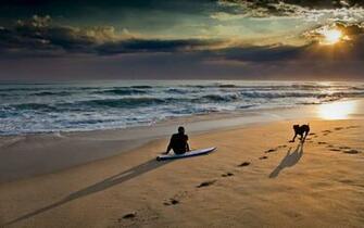 Nature Beach Sea Waves Dogs Surfing People Pets Wallpaper Background