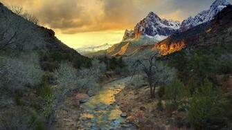 Park In Utah Wallpaper Zion National