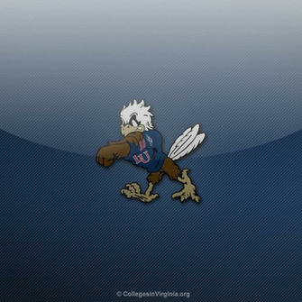 Thumbs Liberty Flames iPad Wallpaper