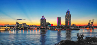 Mobile City Guide The Local Palate