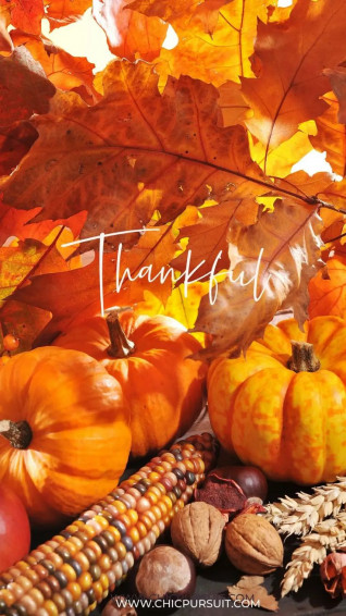 Cute Thanksgiving Wallpaper For iPhone
