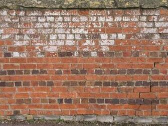 Brick Wall Graffiti