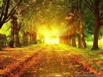 Autumn Scenes Wallpaper