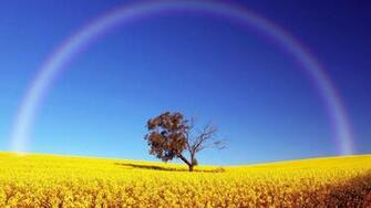 Rainbow Wallpaper For Desktop HD Pictures Image