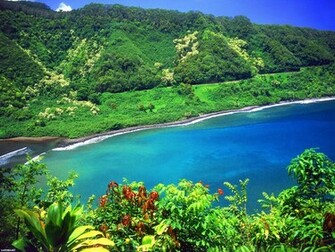 To Wallpaper Just Right Click On Pictures And Select Save