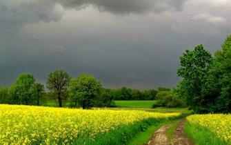 Stormy Clouds Beautiful Scenic Wallpaper