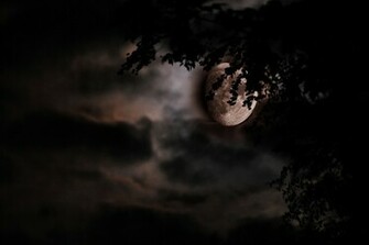 Blood Moon Wallpaper