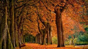 Autumn Wallpaper Best